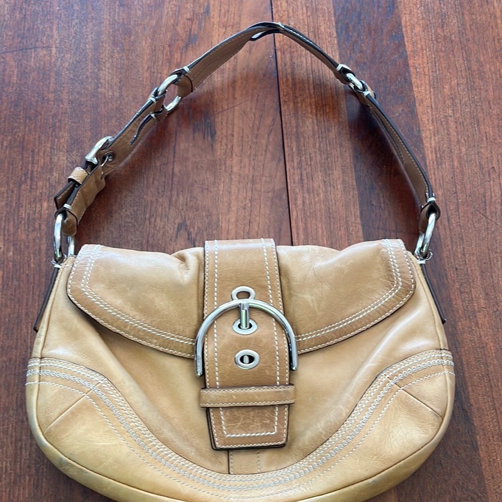 Coach Hobo Bag 10578